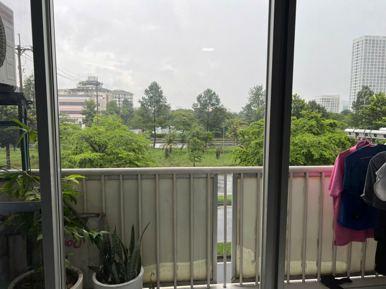 z6829821252385_2b61171ae5a71545bd77b9894f0ffcb8