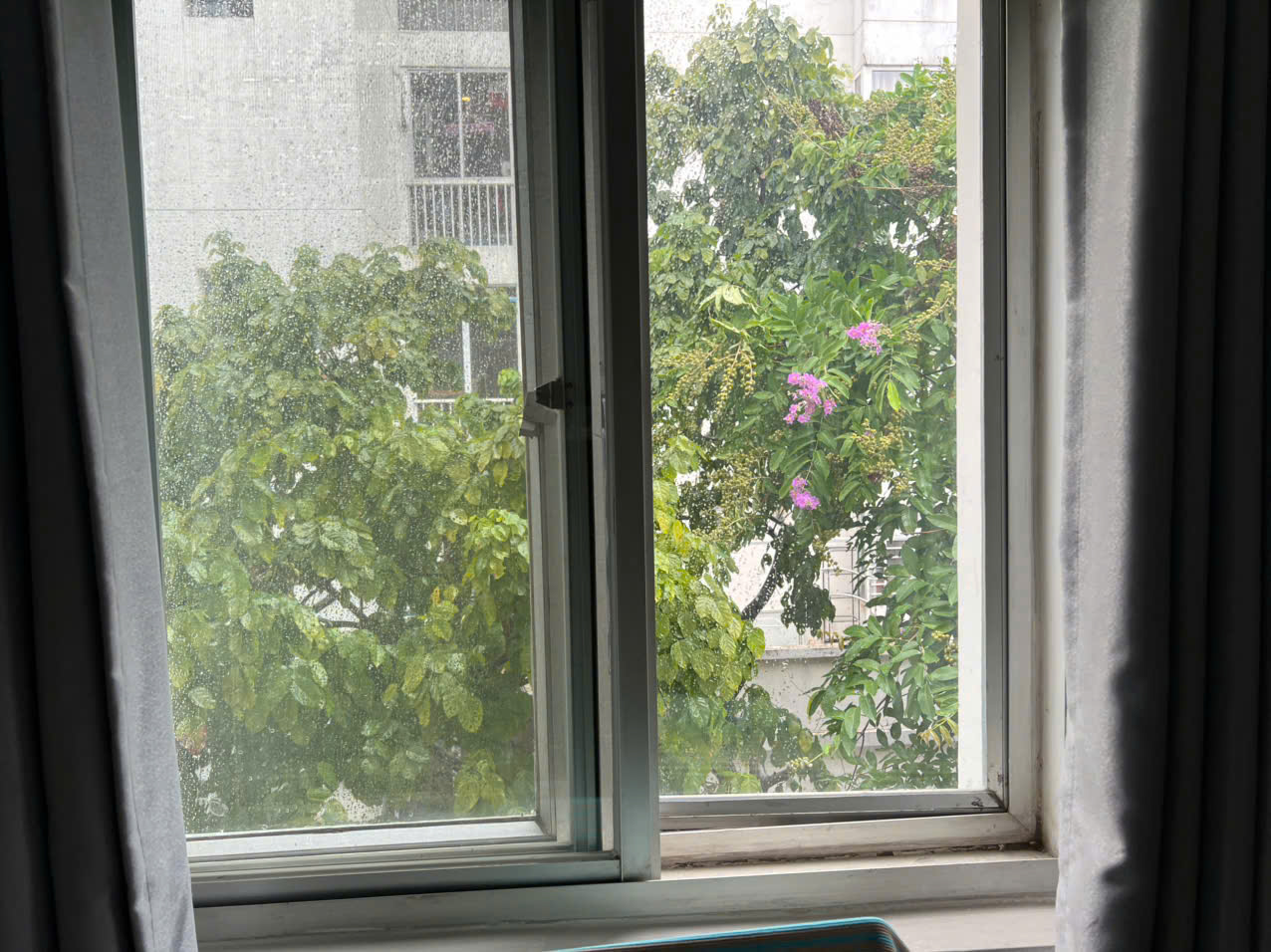 z6829821257196_3231ba100ea148832ba01edb9a437cdd