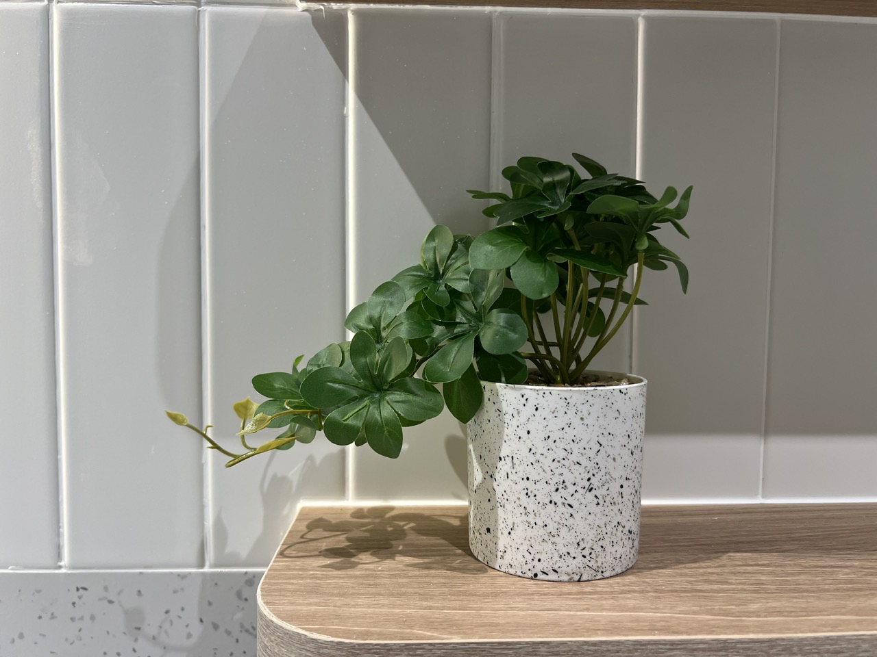 z6943263875768_941cd10a5295650cc1623a1060d59b17