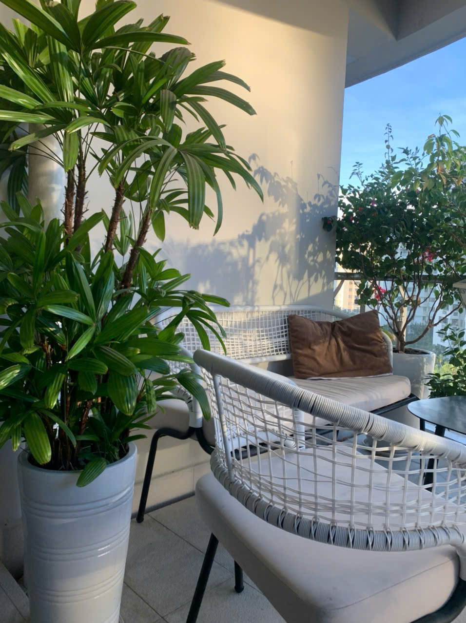 z7042065453097_46dc2c70a530d933e3f82ad8b1be3b59