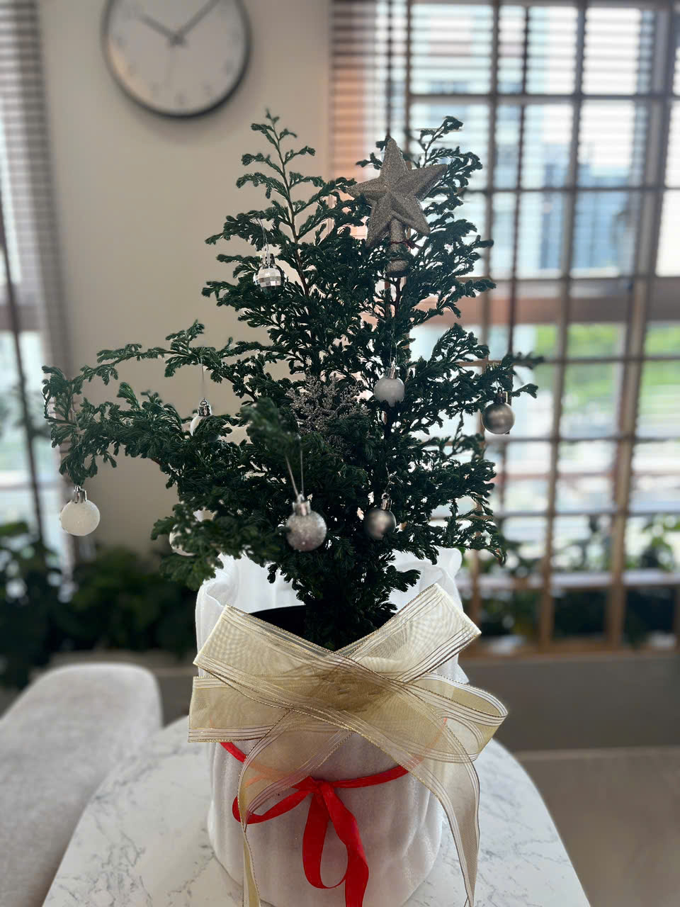 z7465924952616_28ce98320b521a091096015c2b185b8b