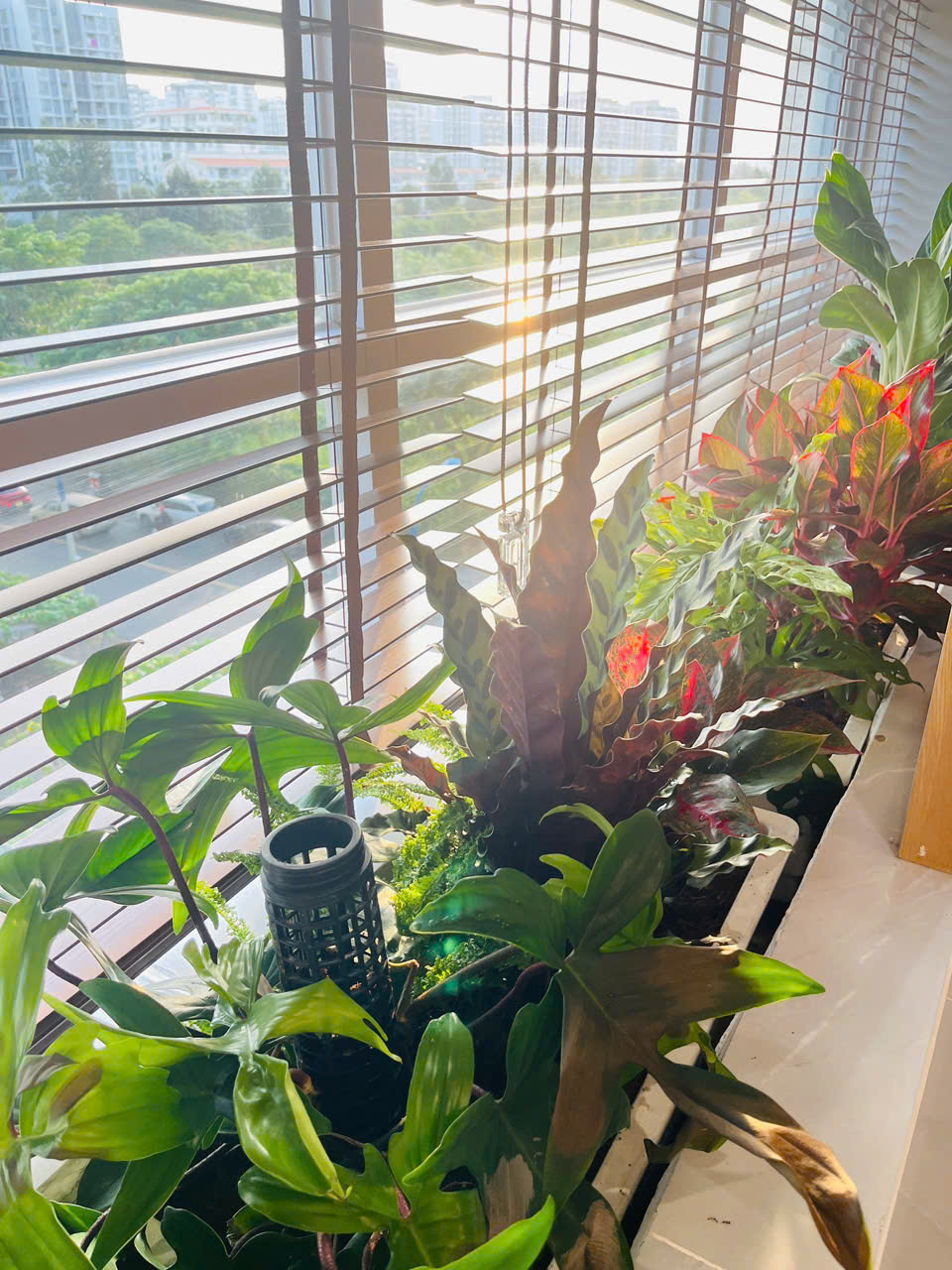 z7465924959288_4d3870bf497cffbd00bd901f8b3a7873