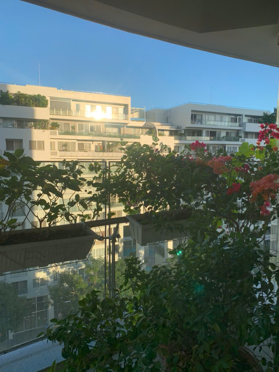 z7565482712253_d167944e66bd0cdbc37c92dbb9dc9190 - Copy